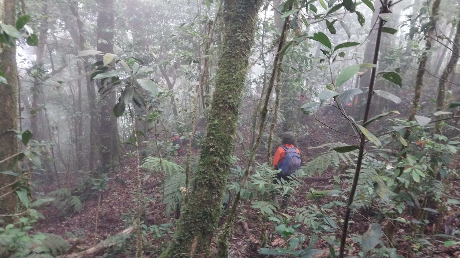 Pencarian Pendaki Hilang di Gunung Seulawah Masuki Hari Kedua